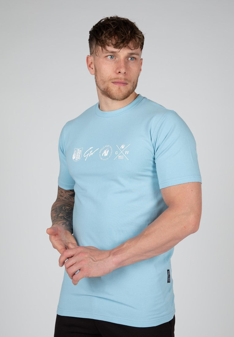 Swanton T-Shirt - Blue