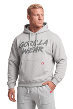 Asheville Raw Hoodie - Gray