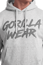 Asheville Raw Hoodie - Gray